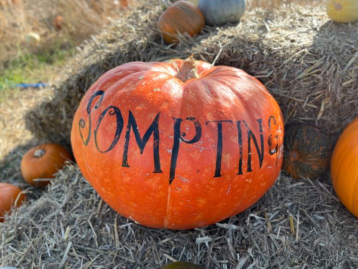 Pumpkin Picking at Sompting (West Sussex, UK) in 2023